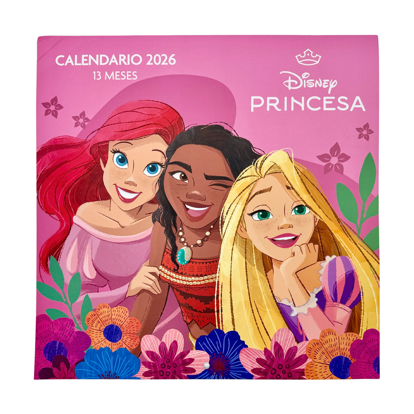 Calendario de Pared 2026 Princesas