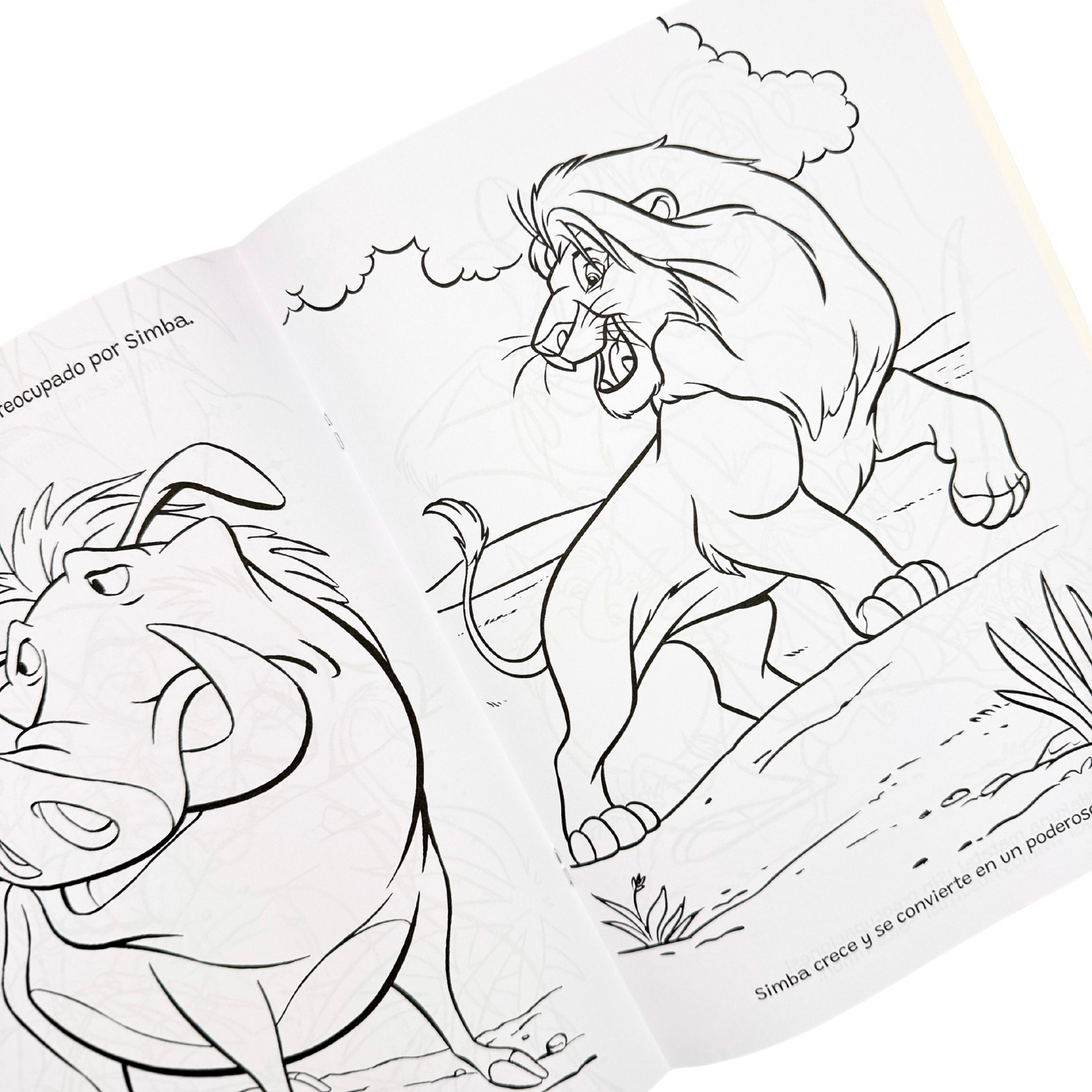 El rey León Pinta y Diviértete