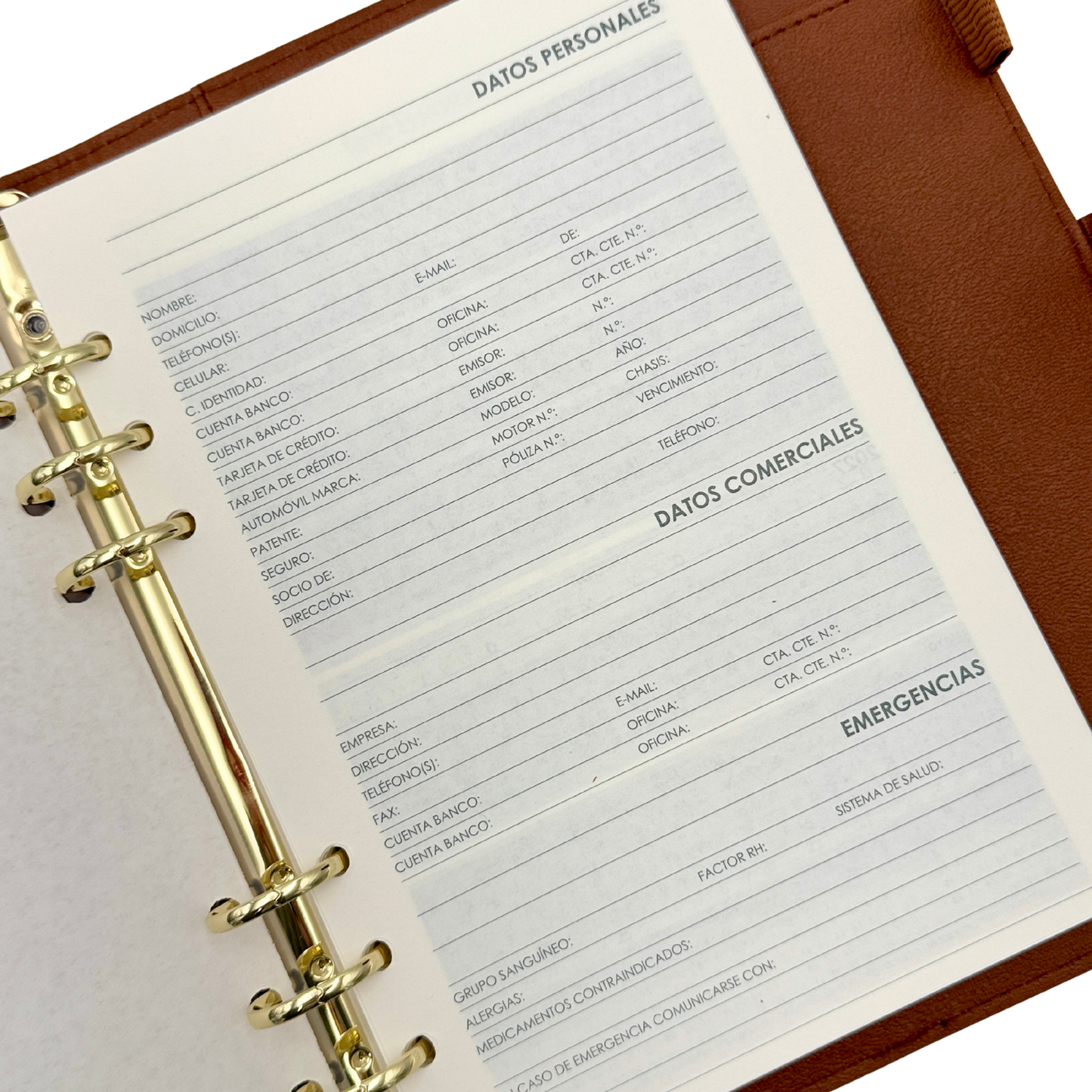 Agenda 2026 Vip Executive (fucsia)