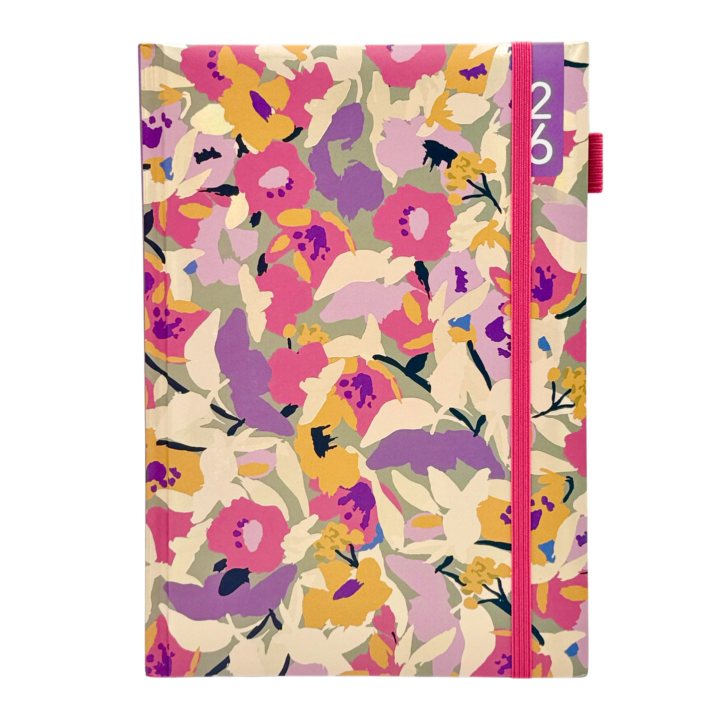 Agenda Dgnottas Escritorio 2026