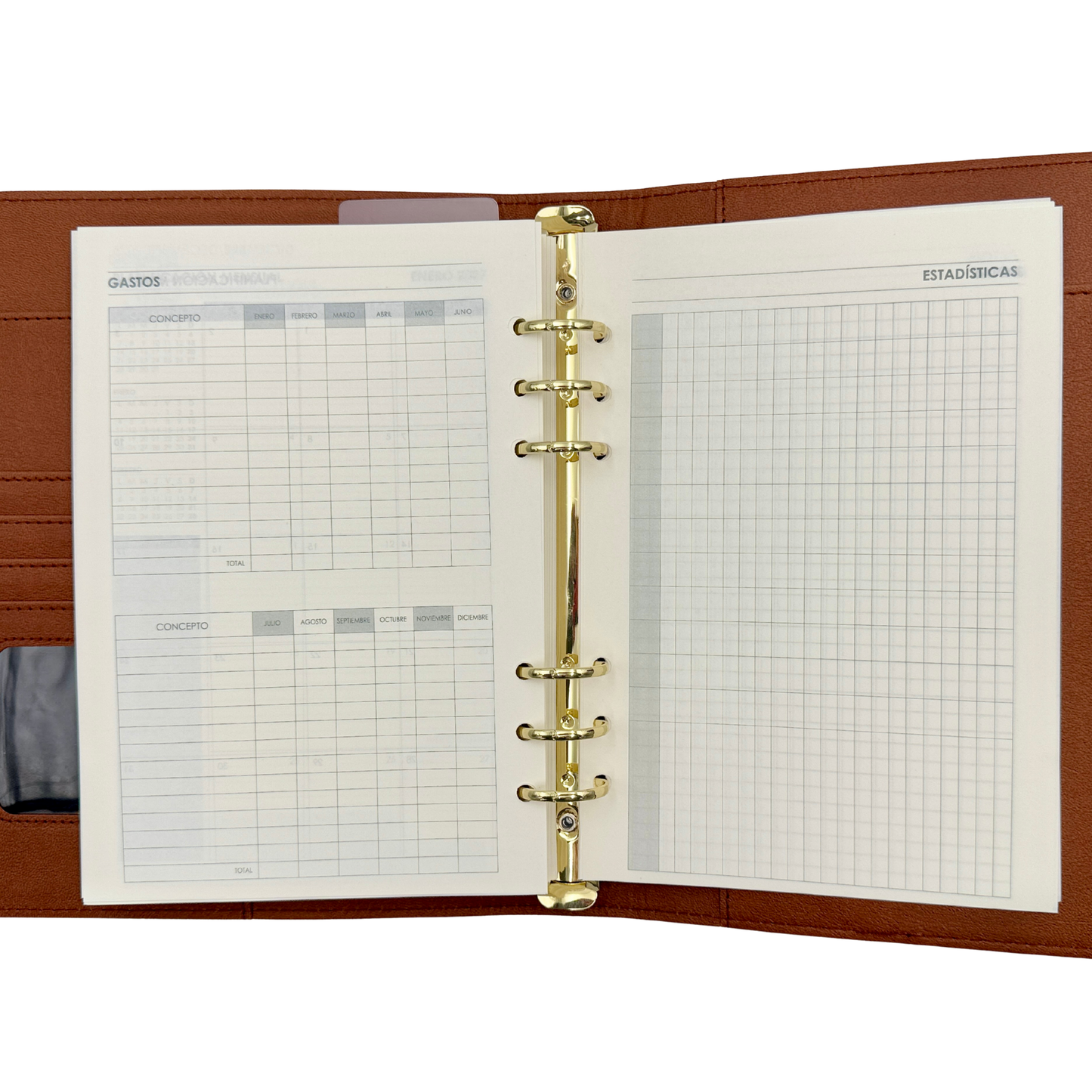 Agenda 2026 Vip Executive (fucsia)