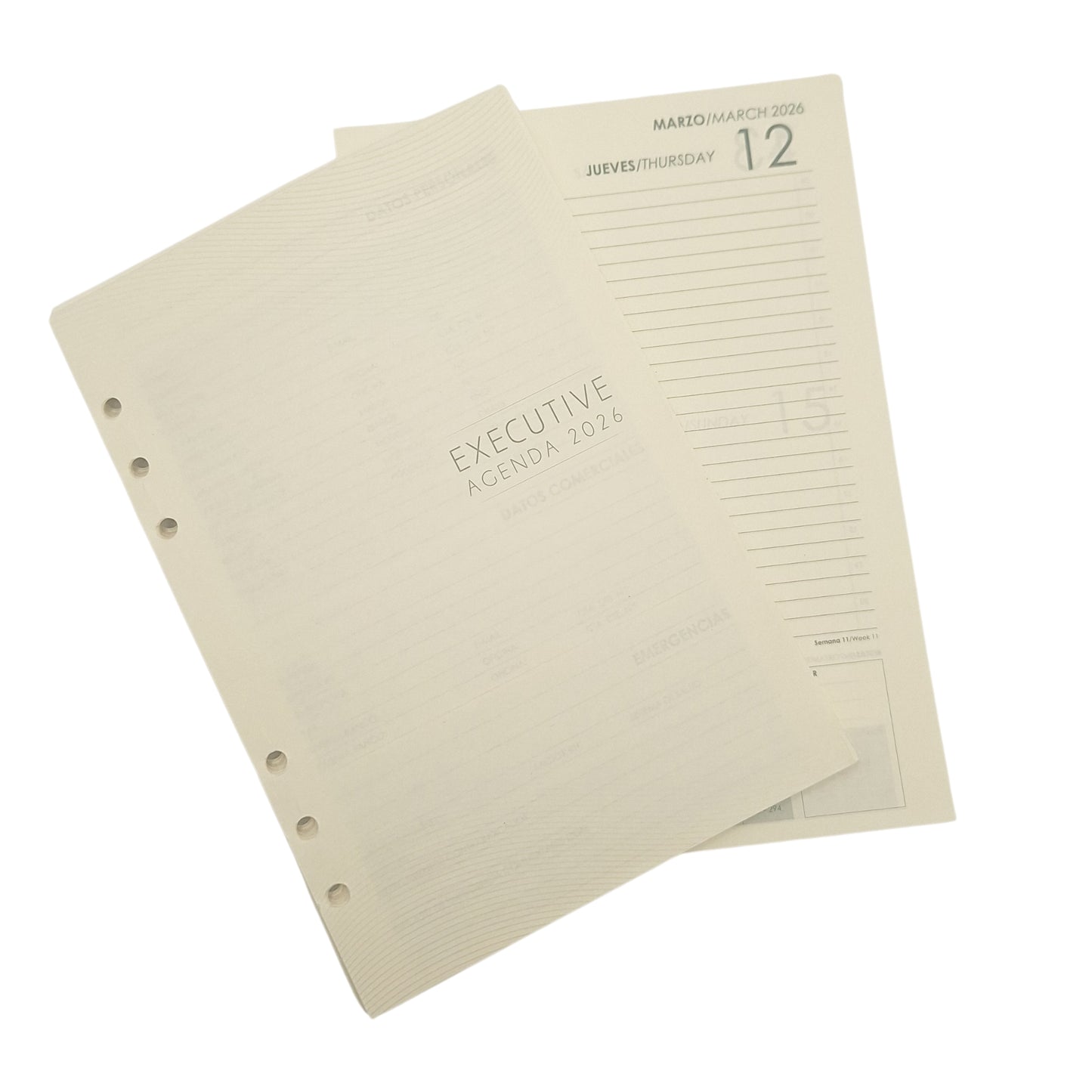 Repuesto Agenda Vip Executive 2026