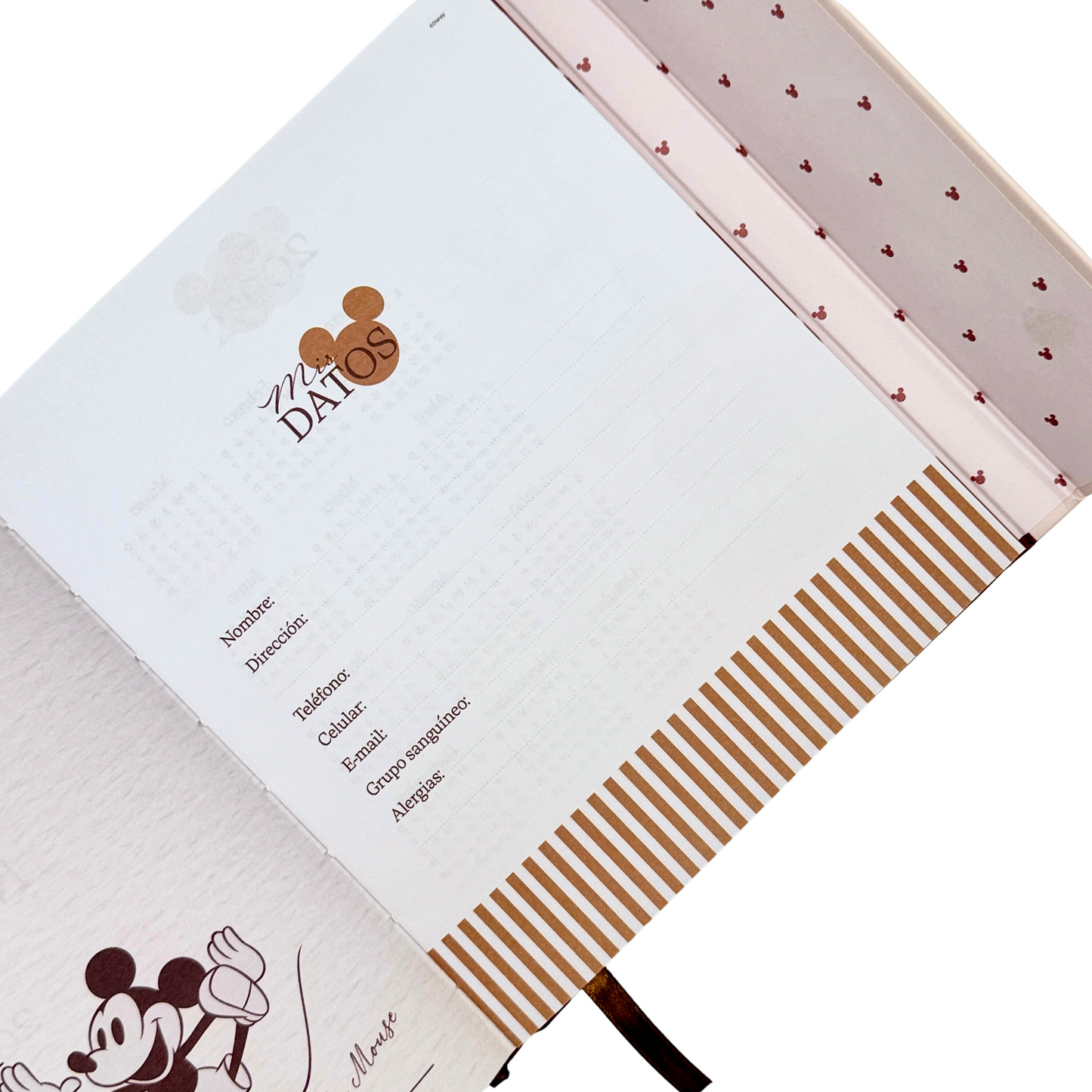 Agenda Disney Iconic Pop 2026