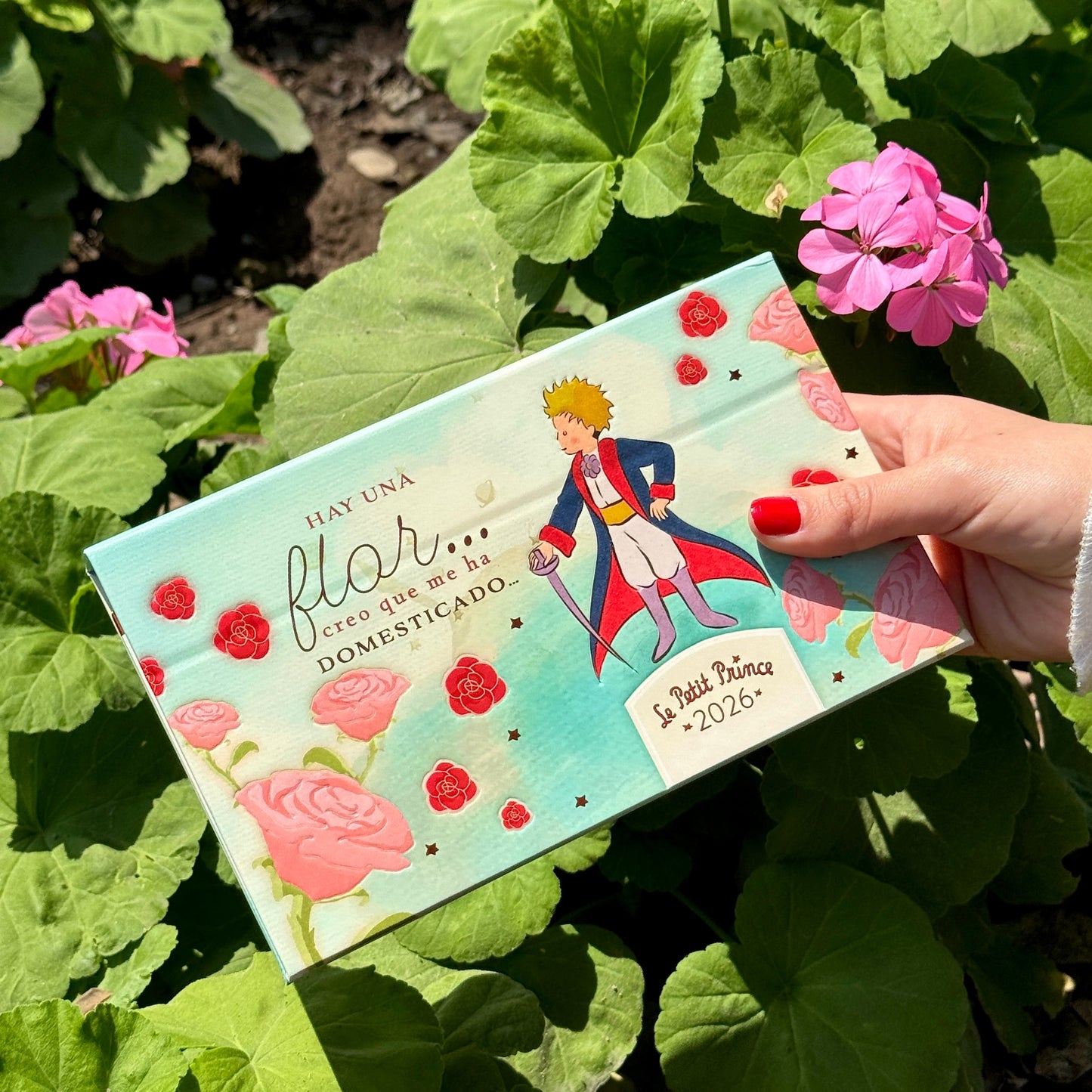 Calendario PP 2026 Principito