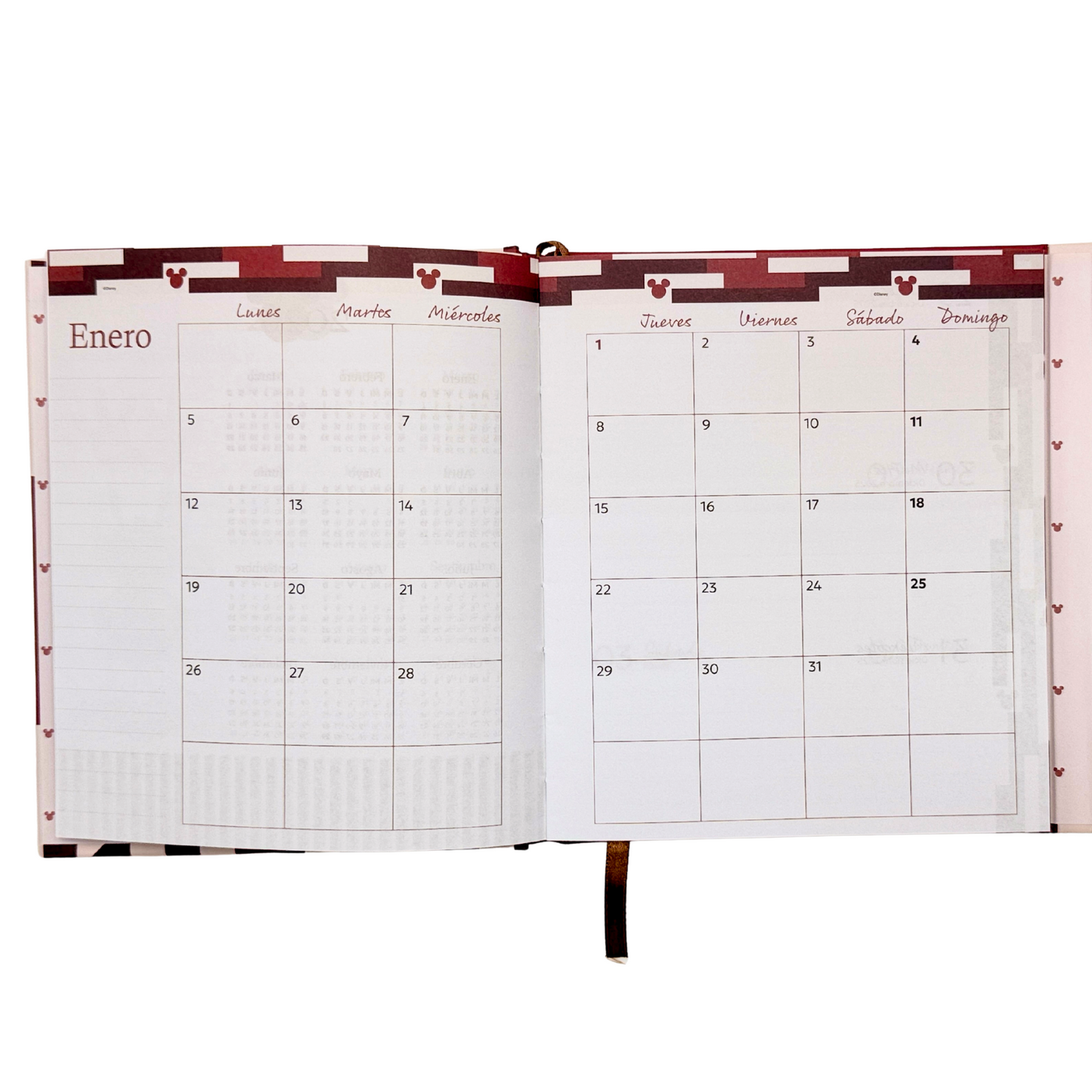 Agenda Disney Iconic Pop 2026