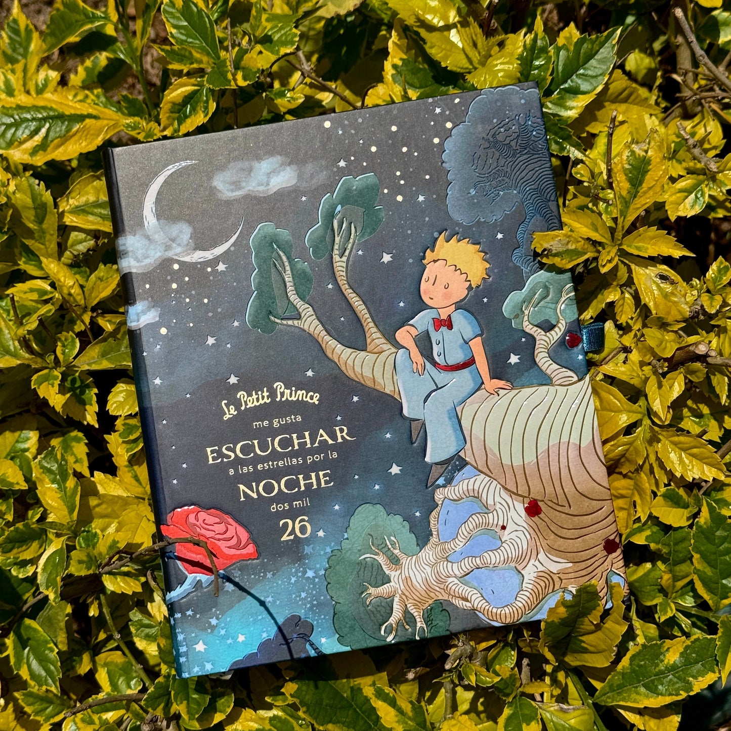 Agenda PP 2026 Principito semanal empastada