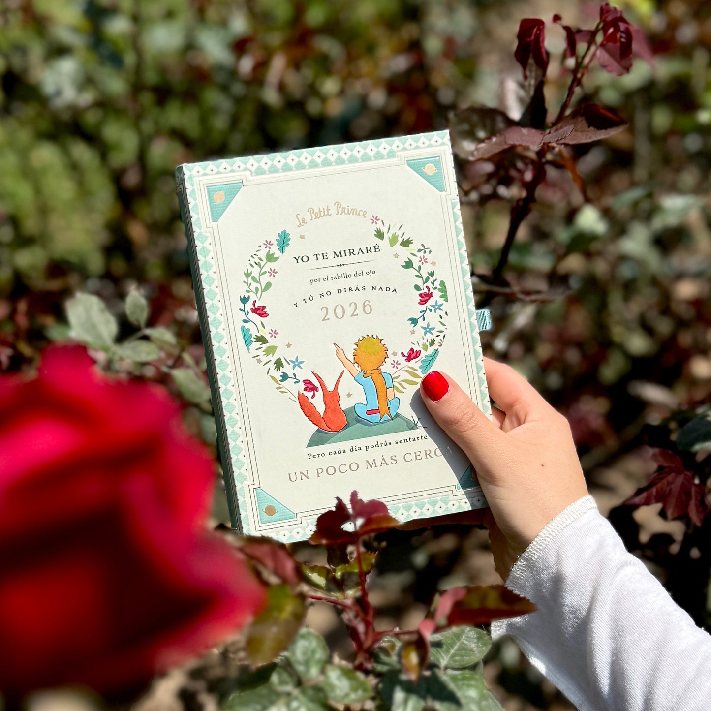 Agenda PP 2026 Principito diaria