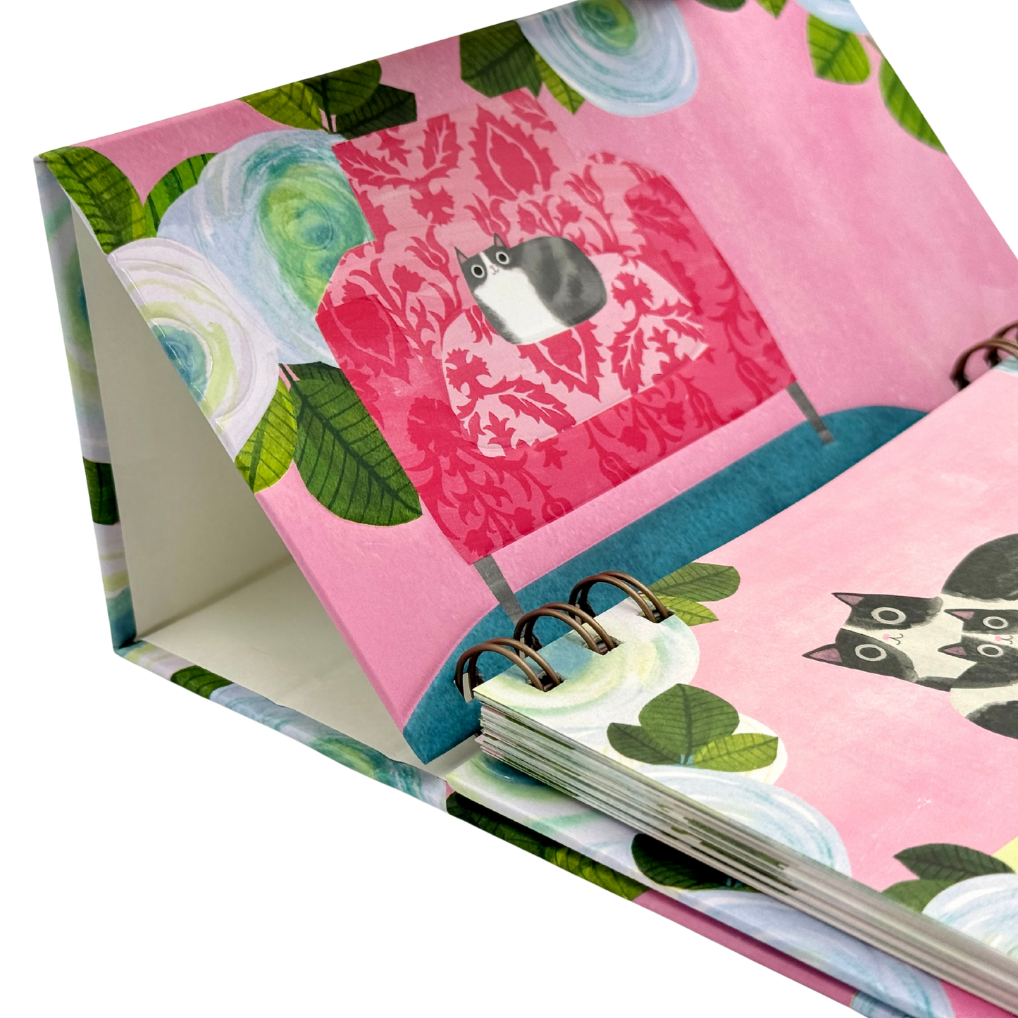 Calendario PP 2026 Cats