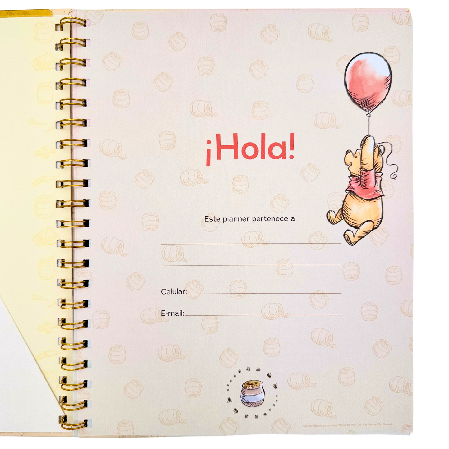 Brief Planner 2026 Winnie Pooh