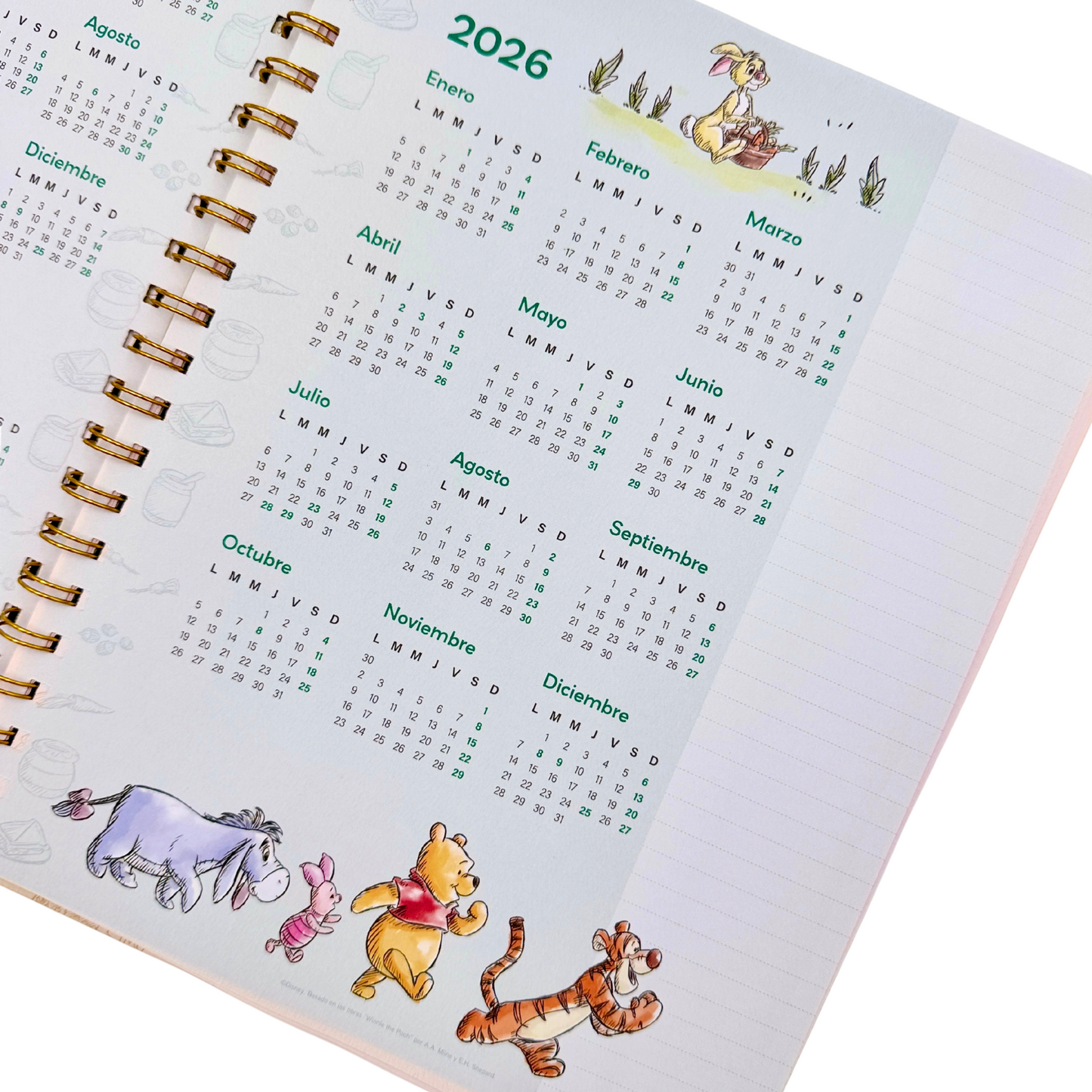 Brief Planner 2026 Winnie Pooh