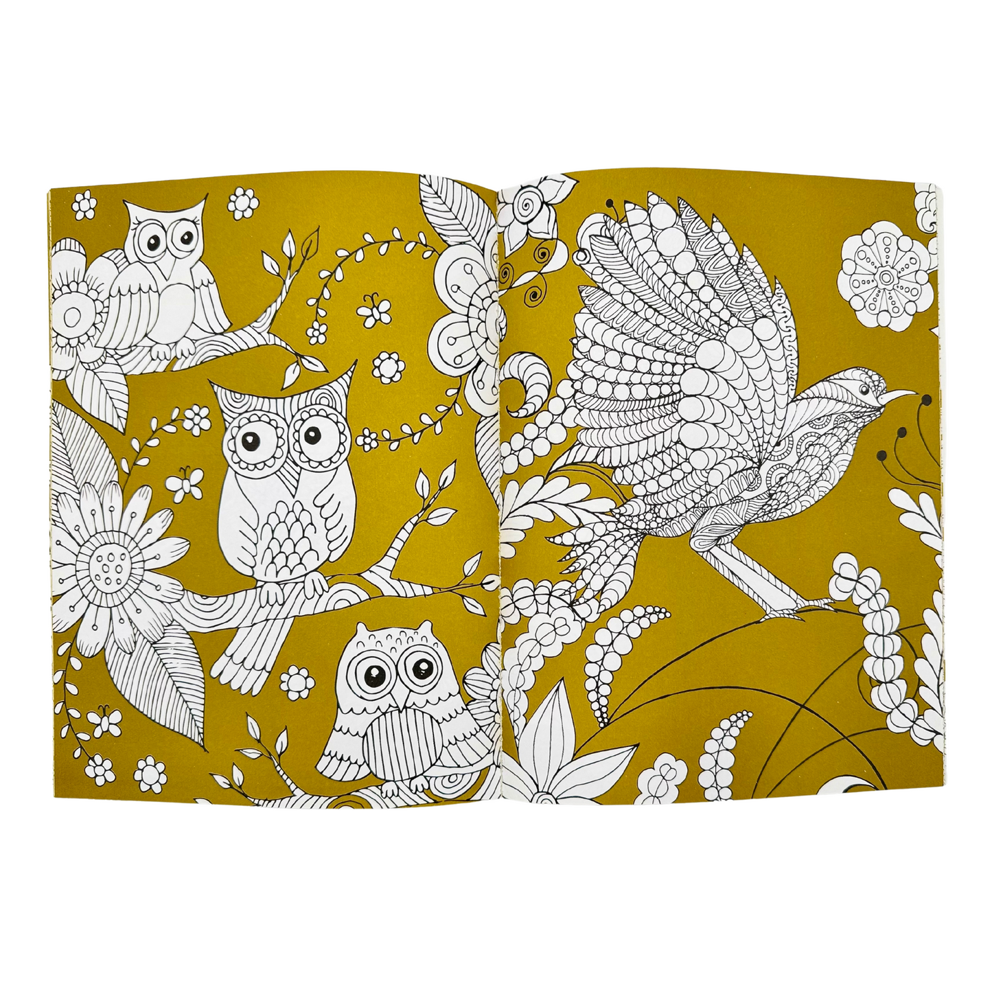 Arteterapia y Relajación Aves