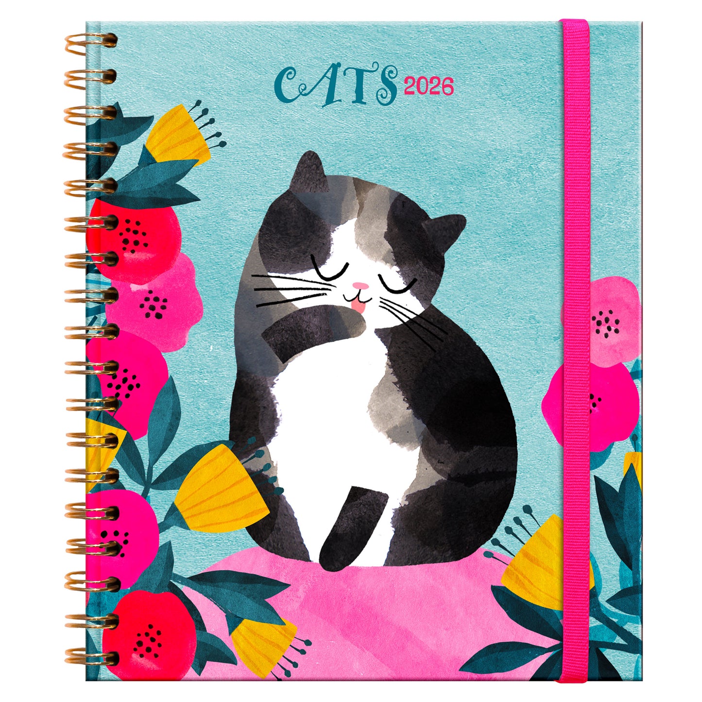 Agenda PP 2026 Cats Semanal