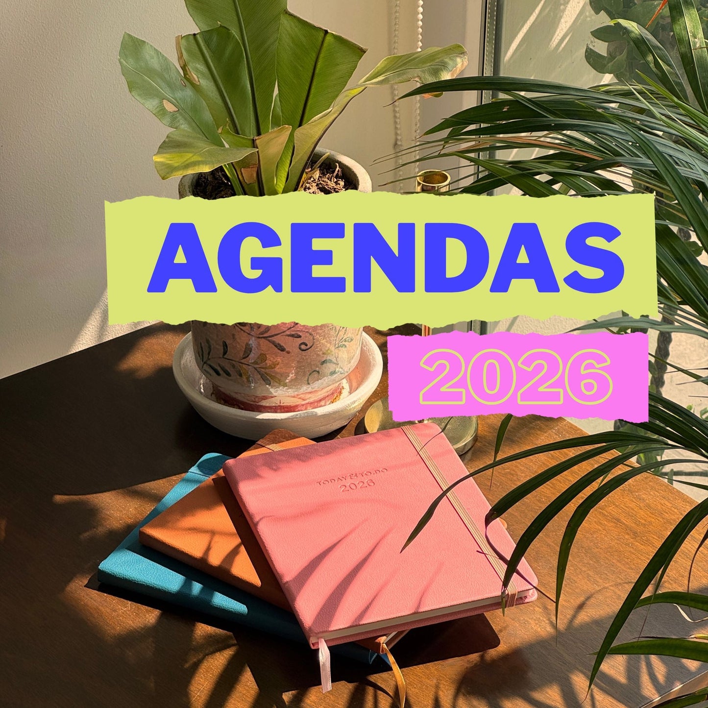 Agendas 2026