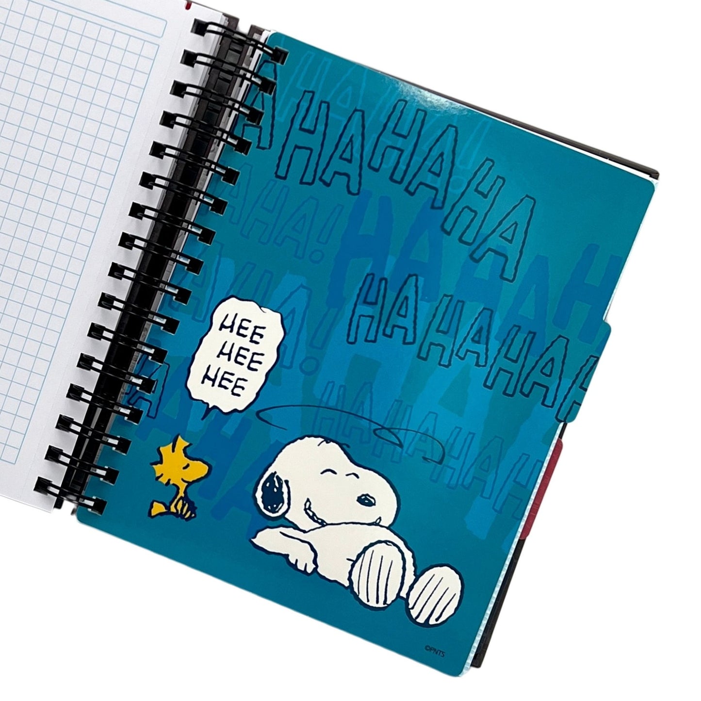 Cuaderno A5 Snoopy verde