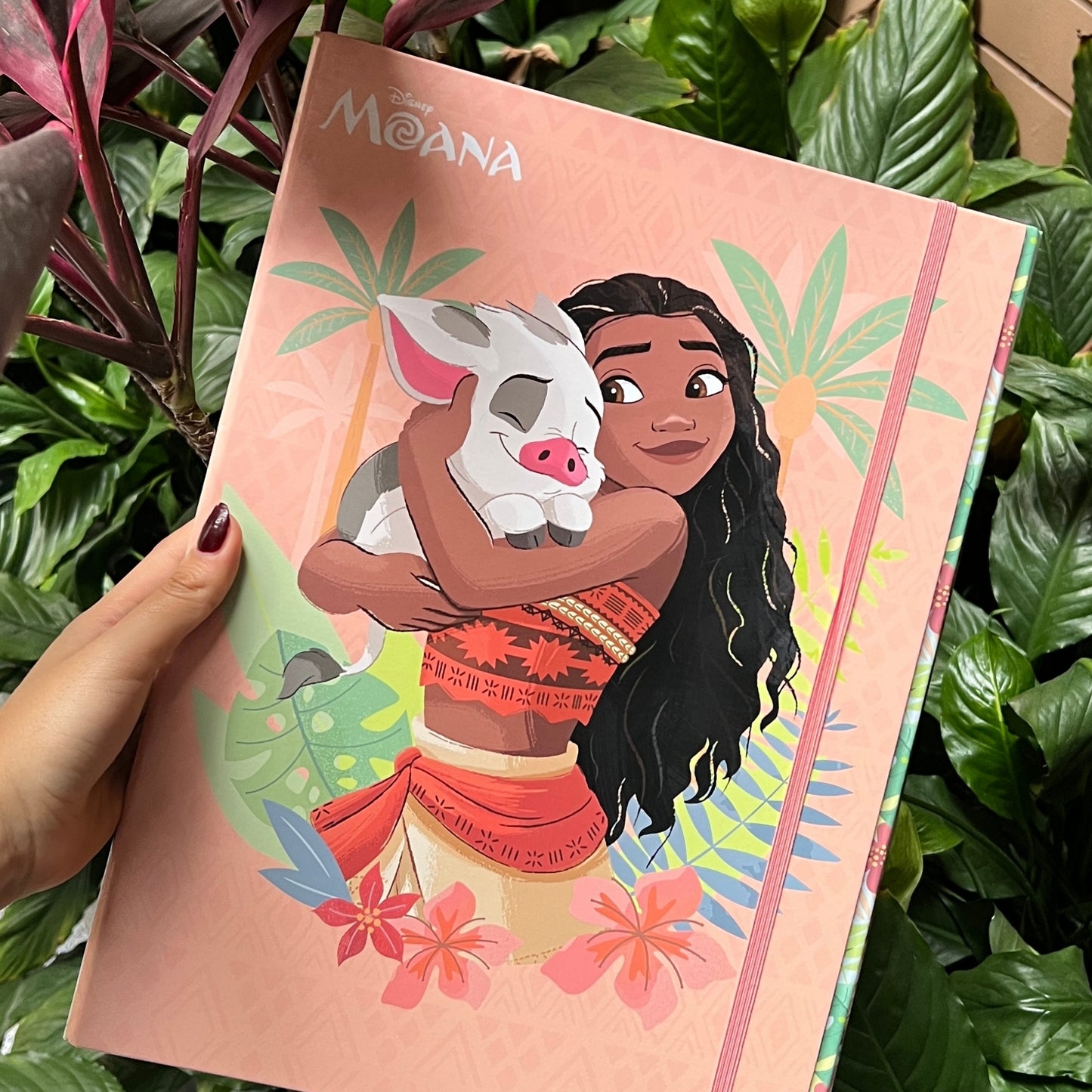 Carpeta Moana
