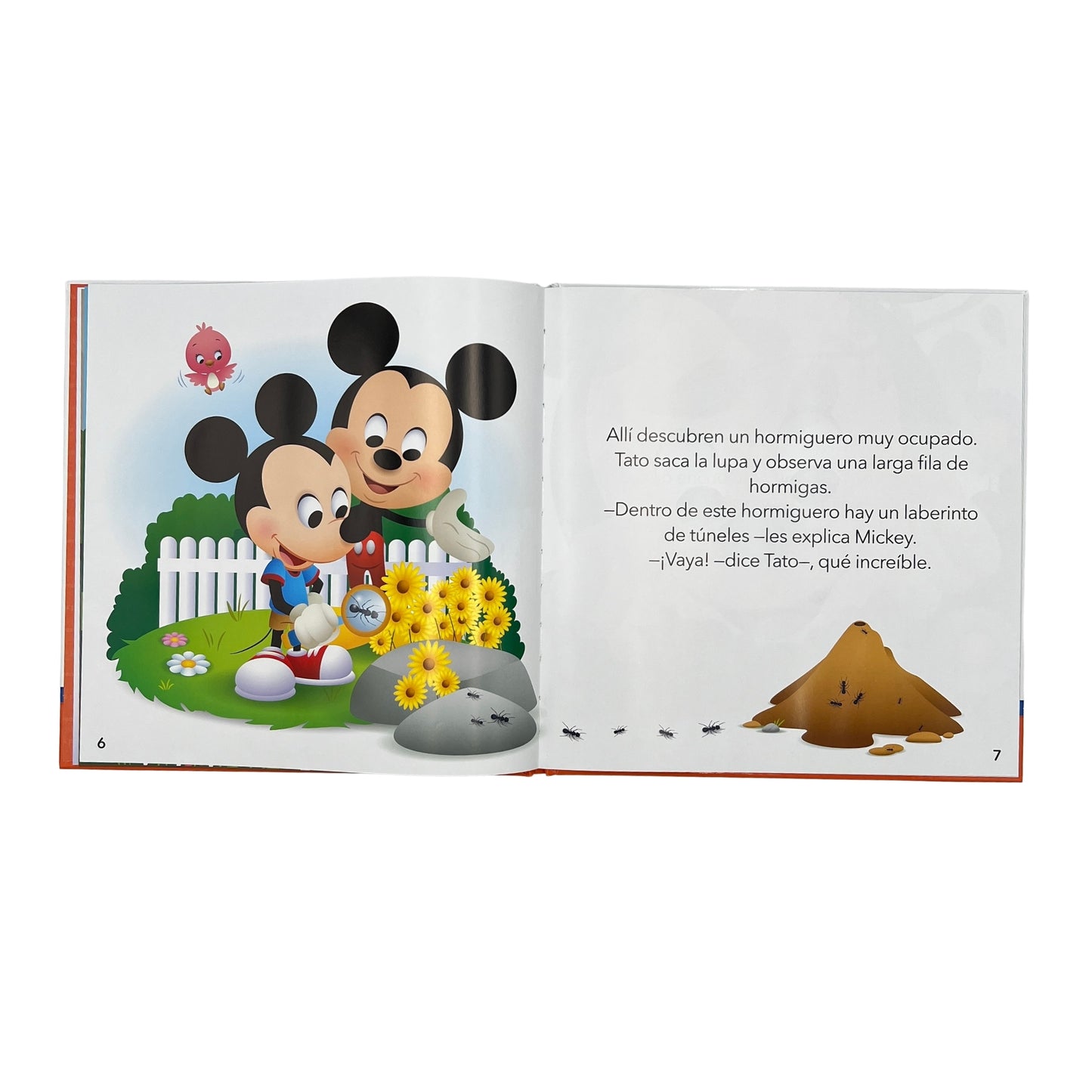 Mis Primeros Cuentos Mickey Descubre insectos