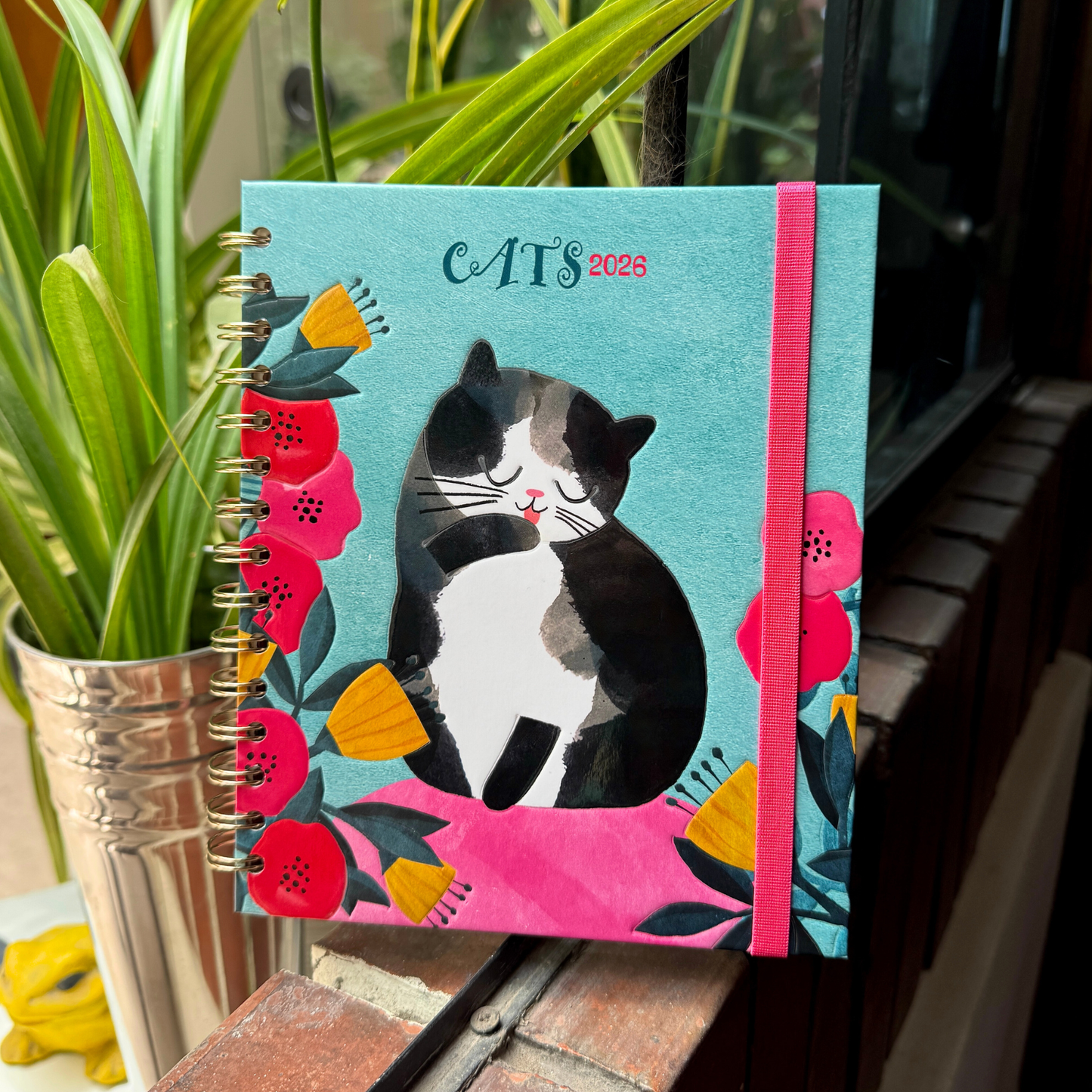 Agenda PP 2026 Cats Semanal