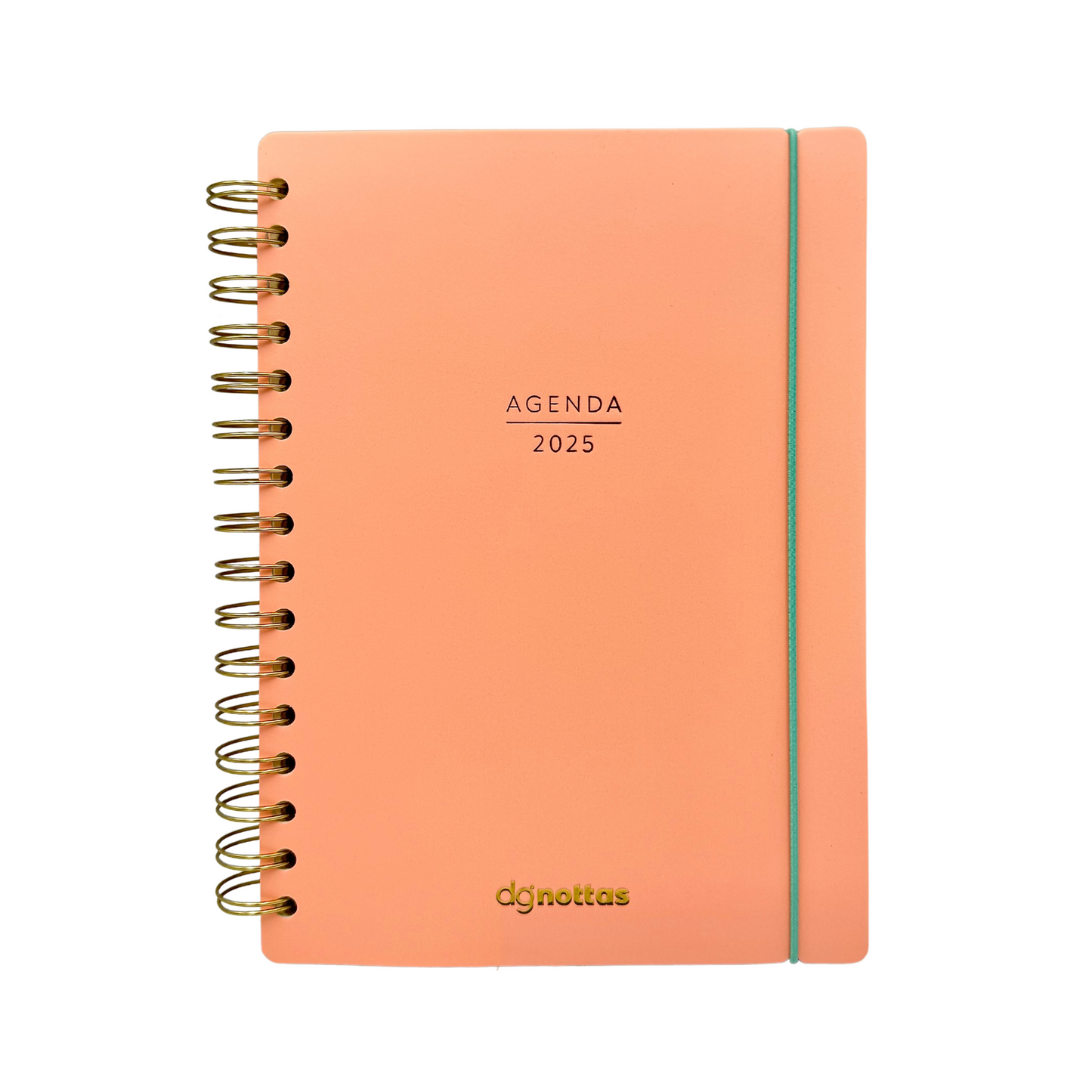 Agenda Minimal 2025 (Salmón)