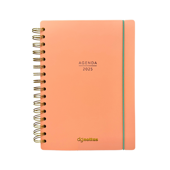 Agenda Minimal 2025 (Salmón)