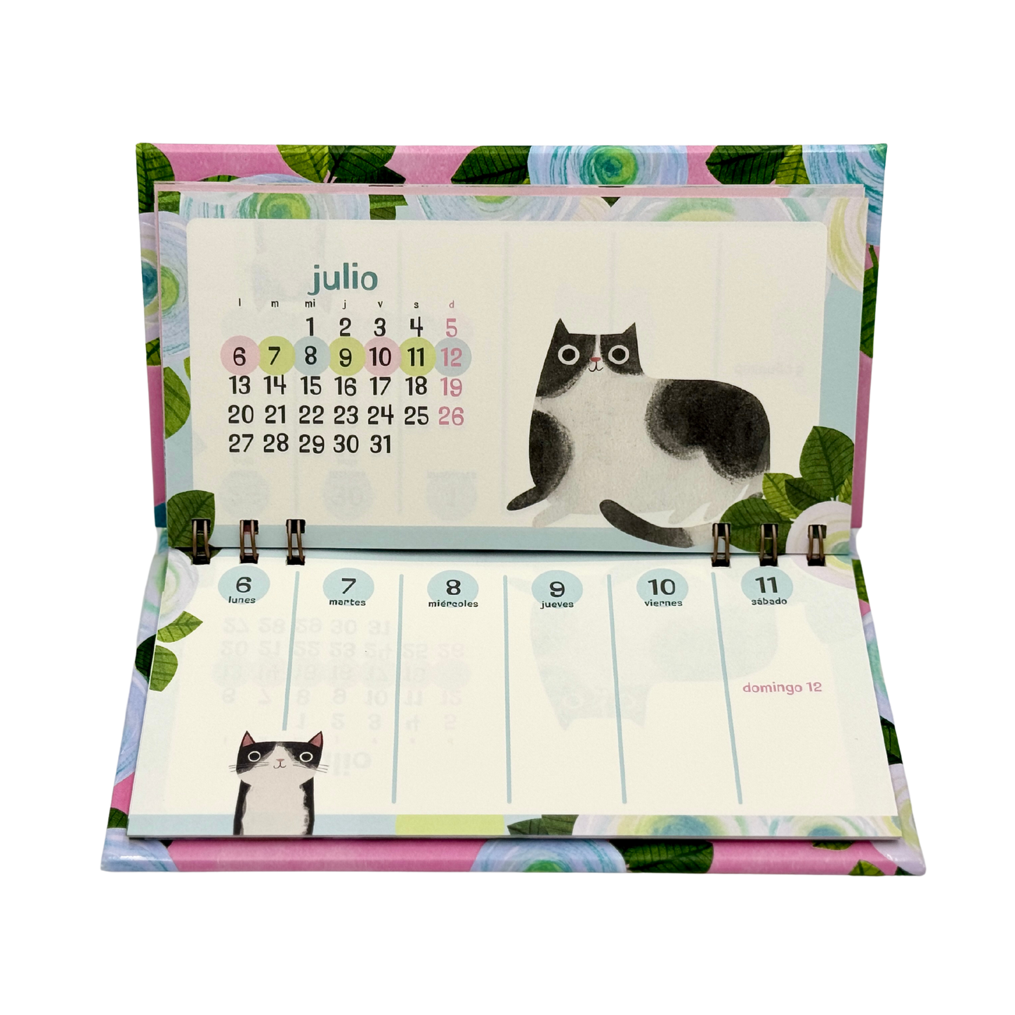 Calendario PP 2026 Cats