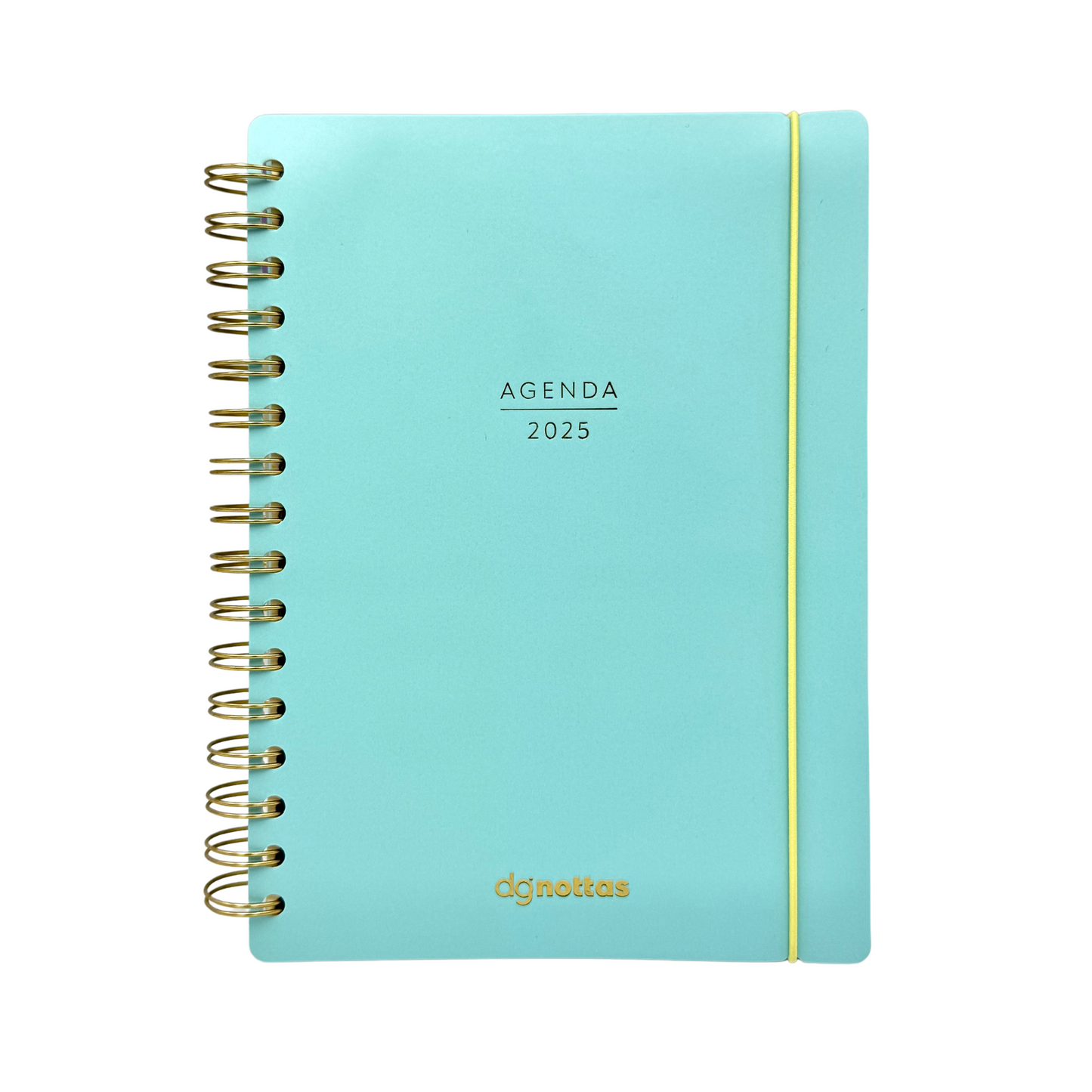 Agenda Minimal 2025 (Turquesa)