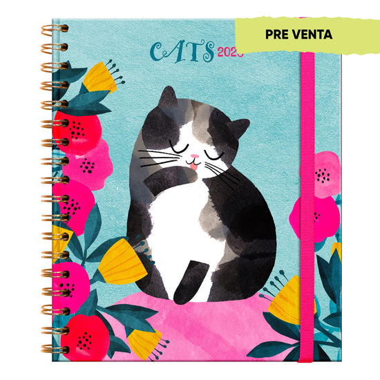 Agenda PP 2026 Cats Semanal