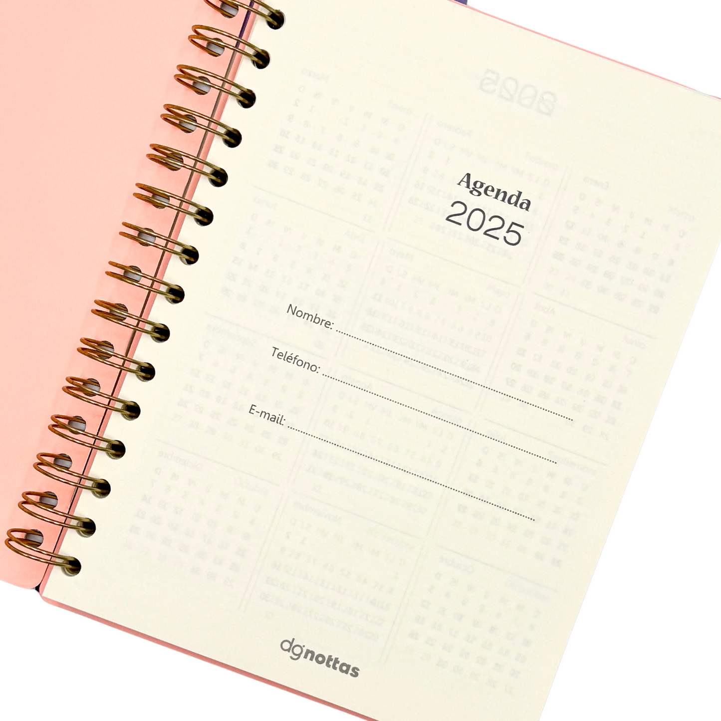 Agenda Minimal 2025 (Salmón)