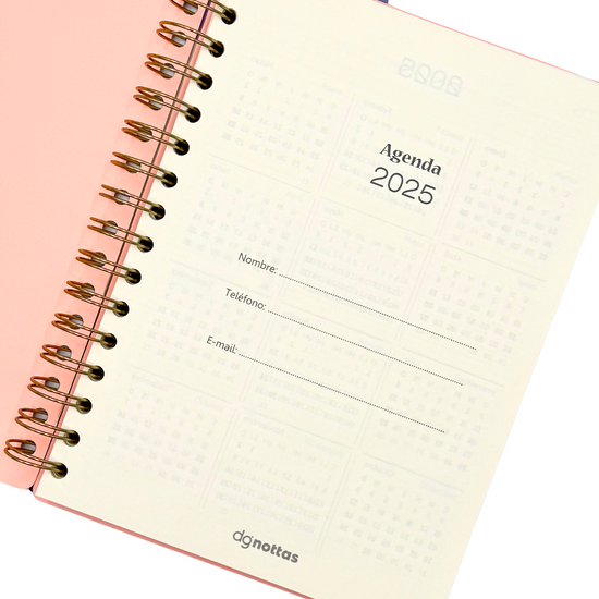 Agenda Minimal 2025 (Salmón)