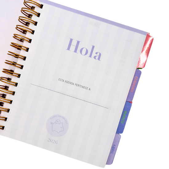 Agenda 2026 Pastel Financiera diaria