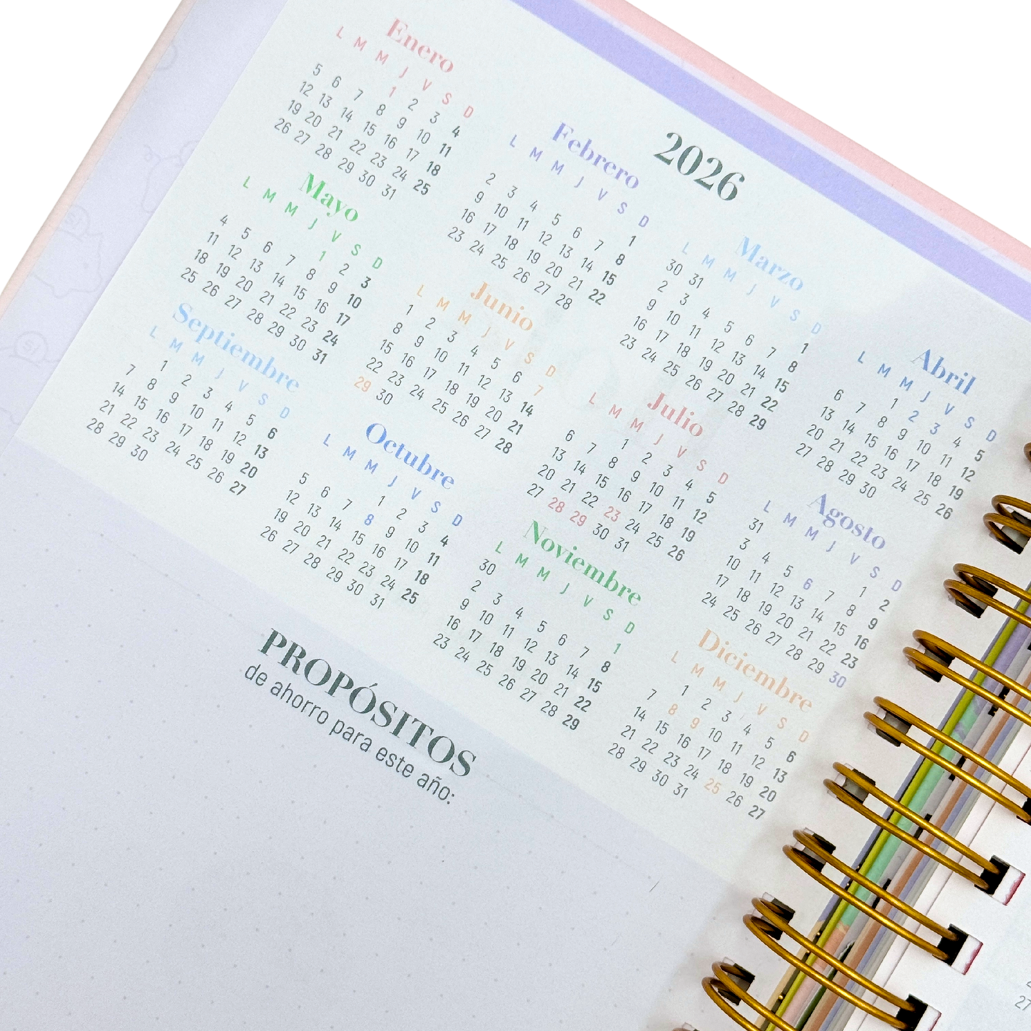 Agenda 2026 Pastel Financiera diaria