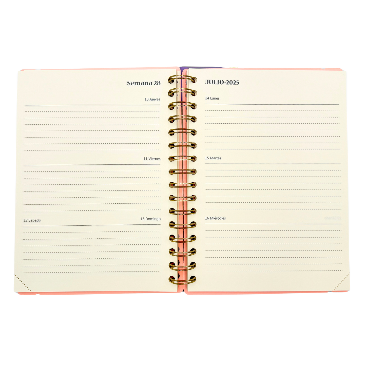 Agenda Minimal 2025 (Salmón)