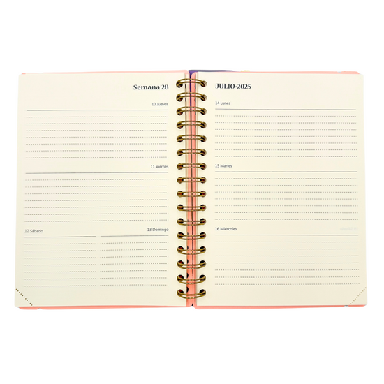 Agenda Minimal 2025 (Salmón)