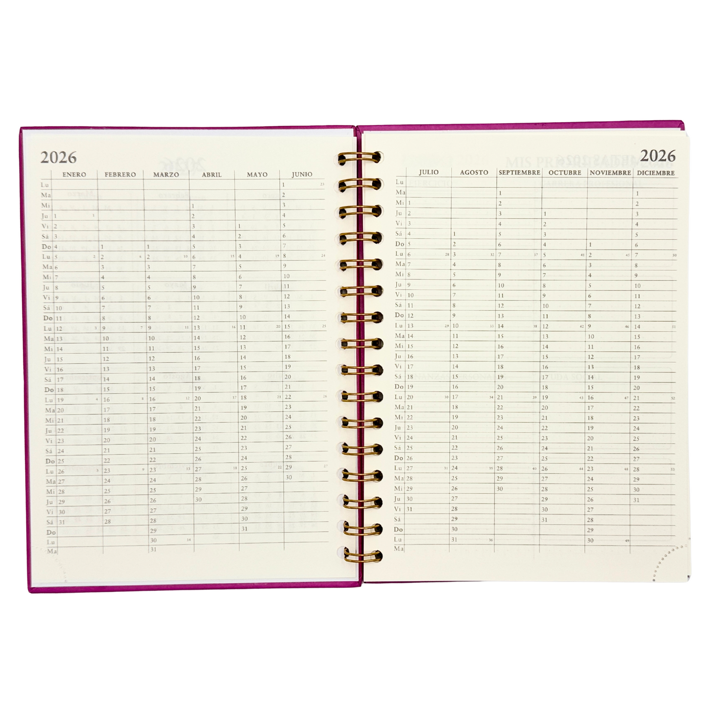 Agenda Minimal 2026 (fucsia)