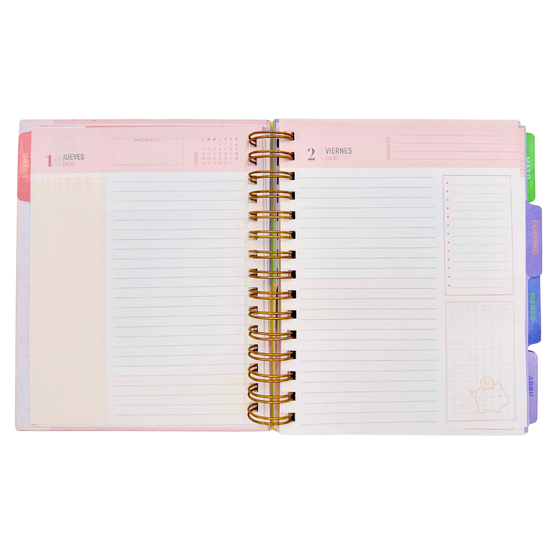 Agenda 2026 Pastel Financiera diaria