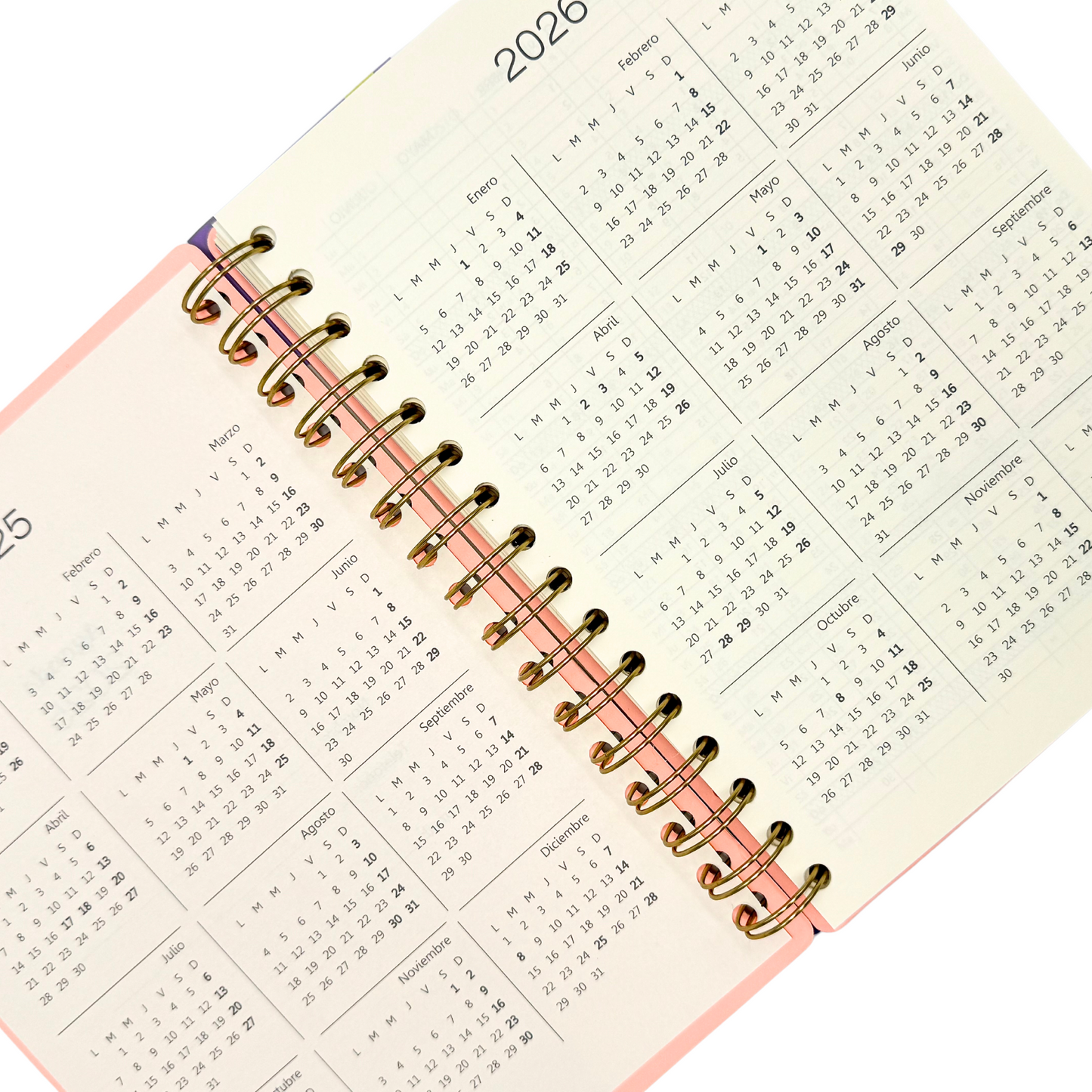 Agenda Minimal 2025 (Salmón)
