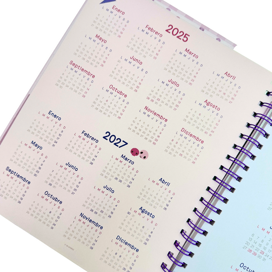 Brief Planner 2026 Kuromi