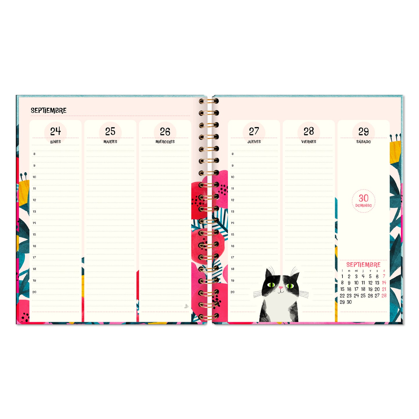 Agenda PP 2026 Cats Semanal