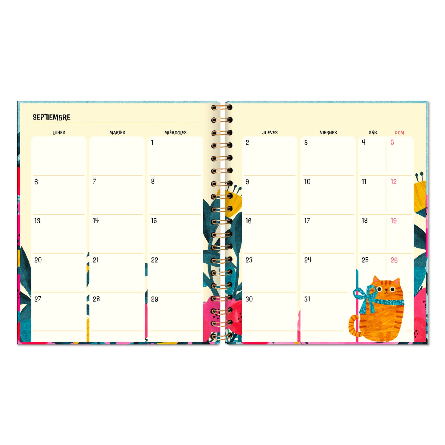 Agenda PP 2026 Cats Semanal