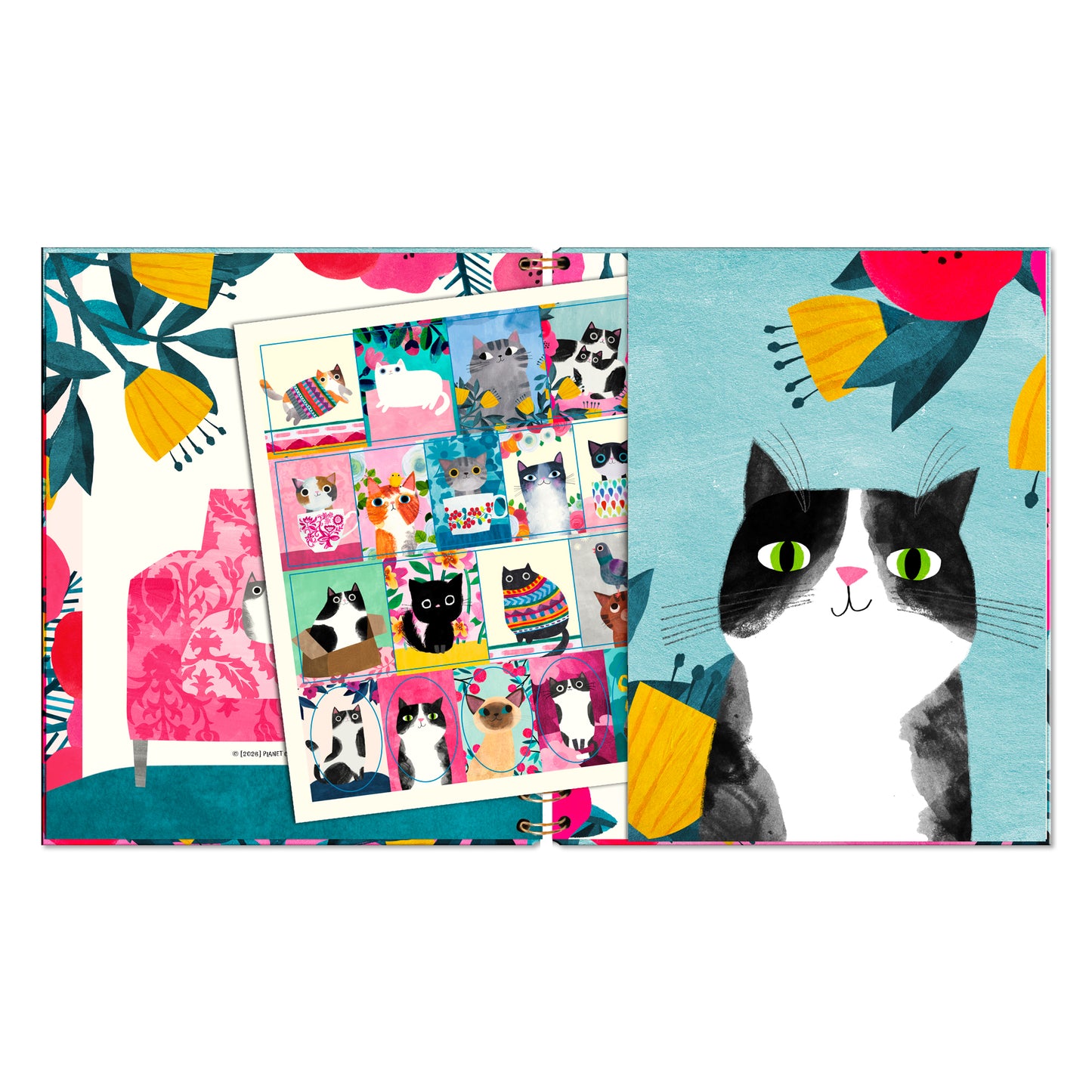 Agenda PP 2026 Cats Semanal