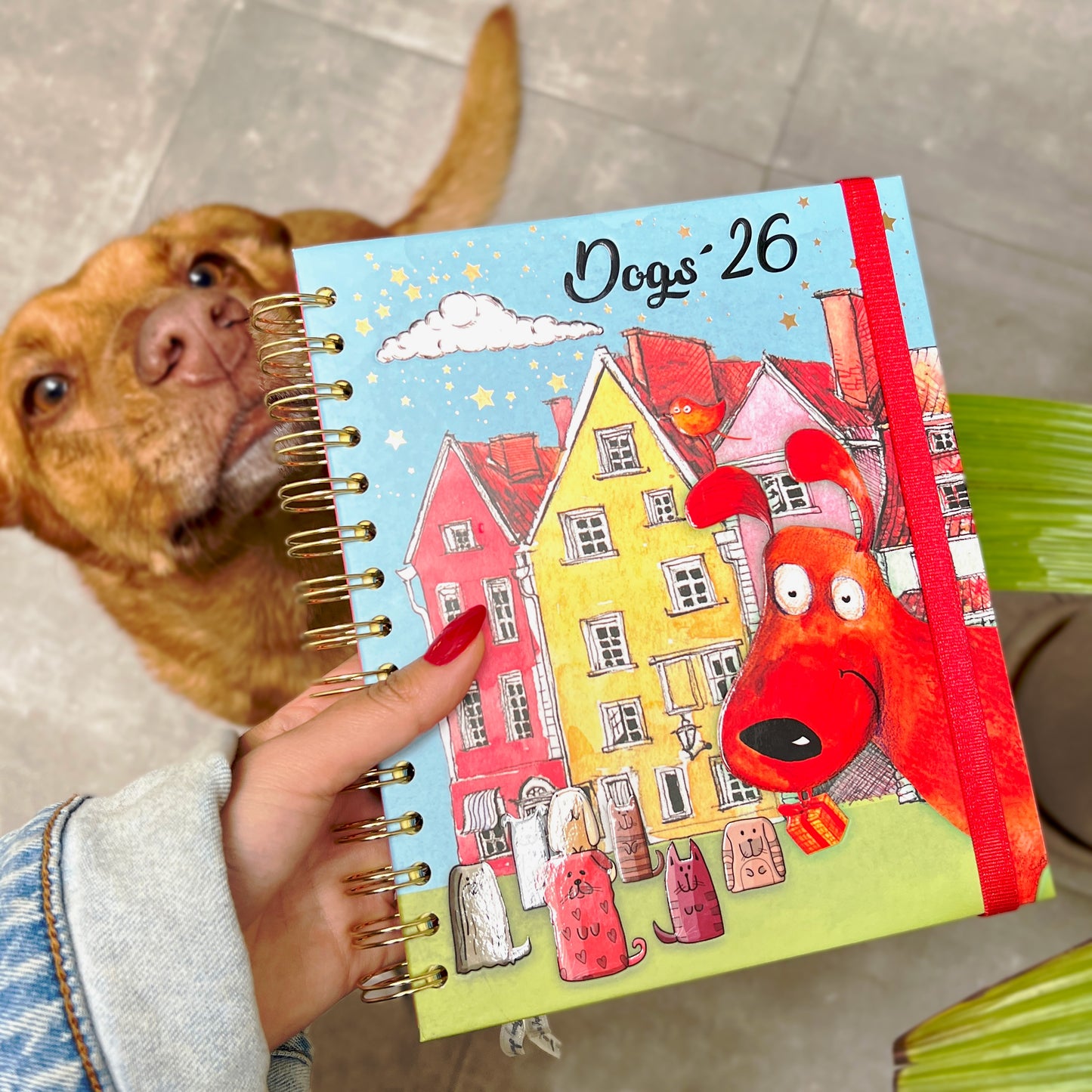 Agenda PP 2026 Dog semanal