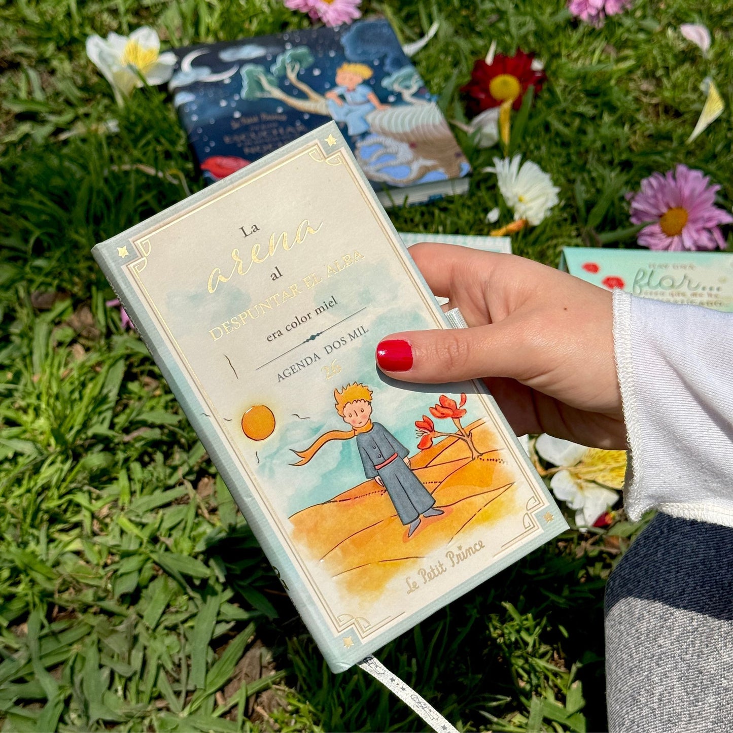 Agenda PP 2026 Principito Chequera