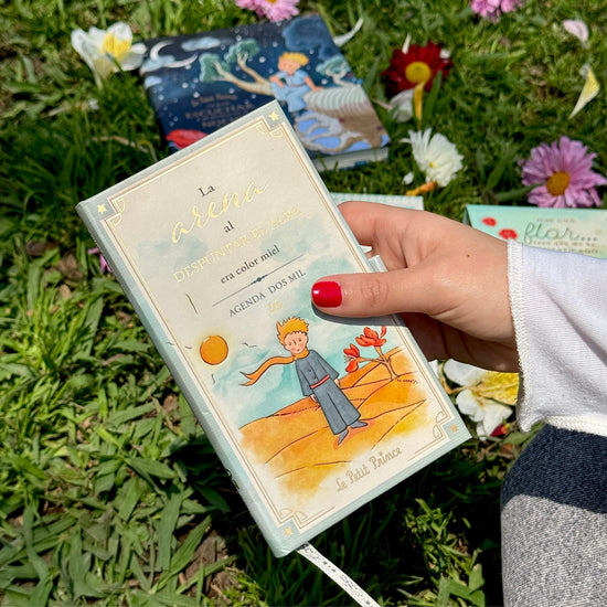 Agenda PP 2026 Principito Chequera