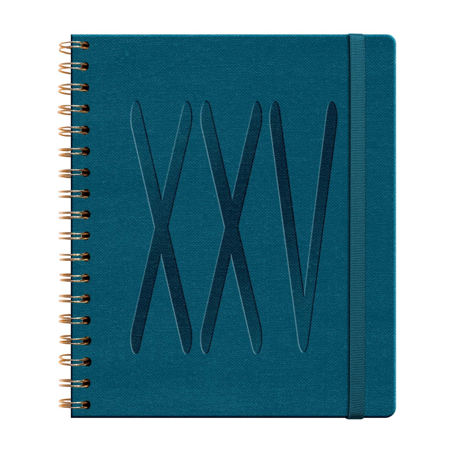 Agenda PP 2025 PU Espiral Diaria