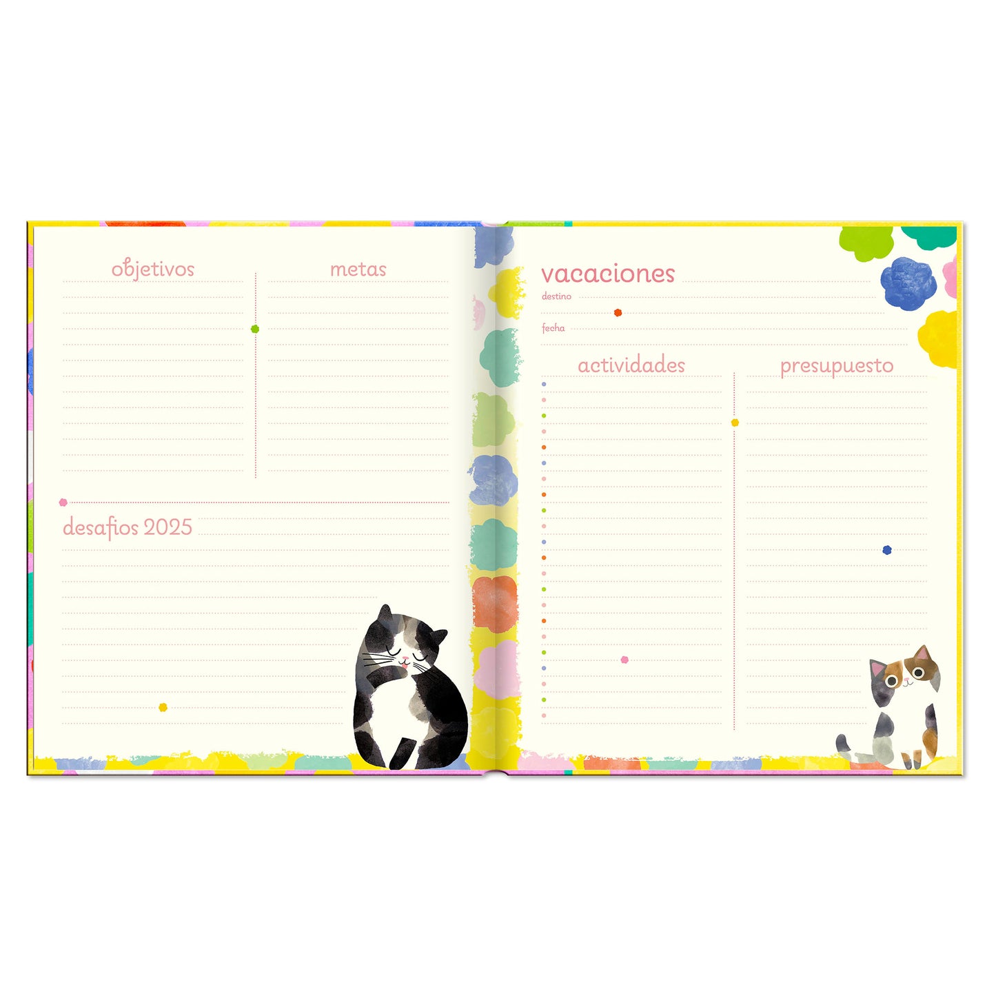 Agenda PP 2025 Cats Semanal