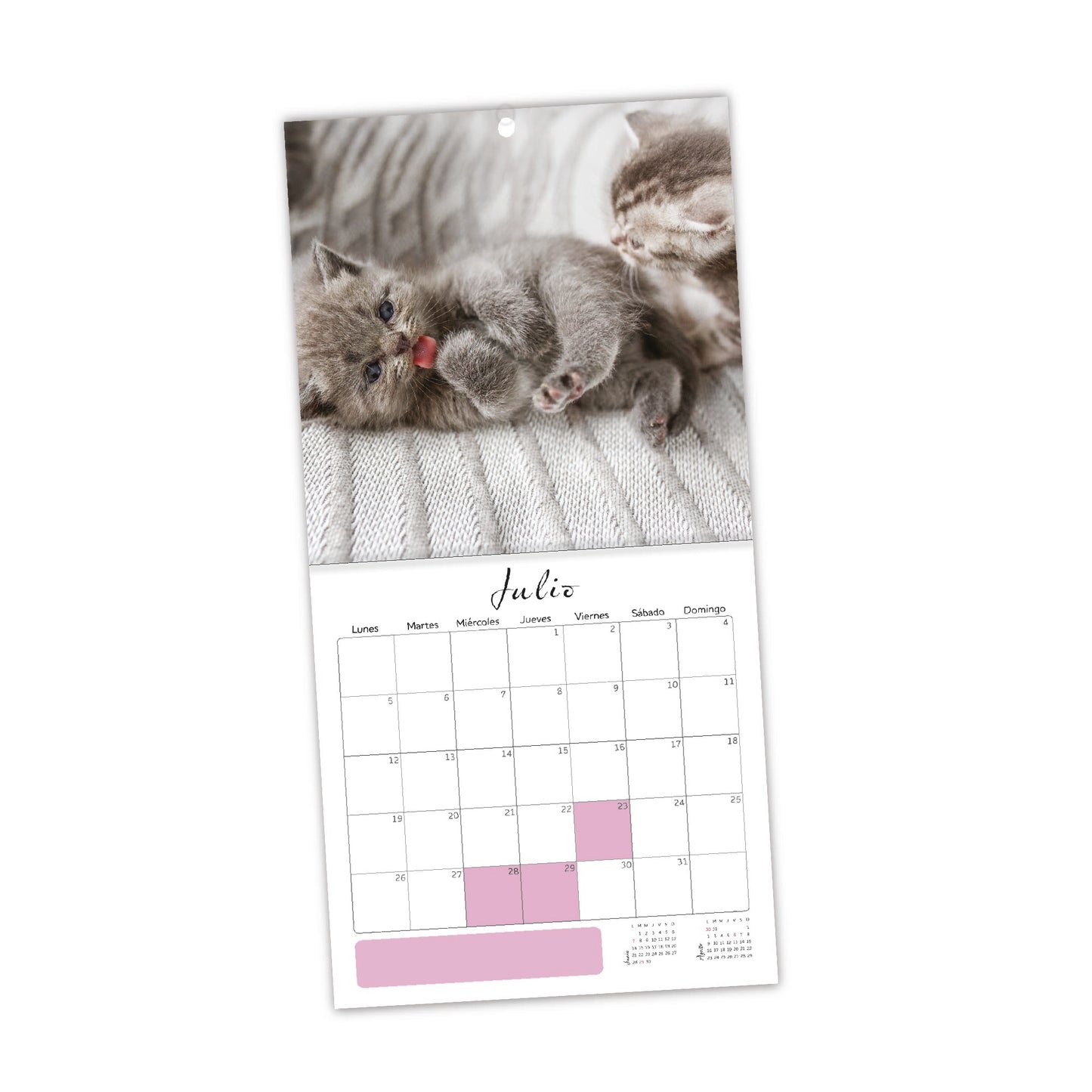 Calendario de Pared 2027 Kittens