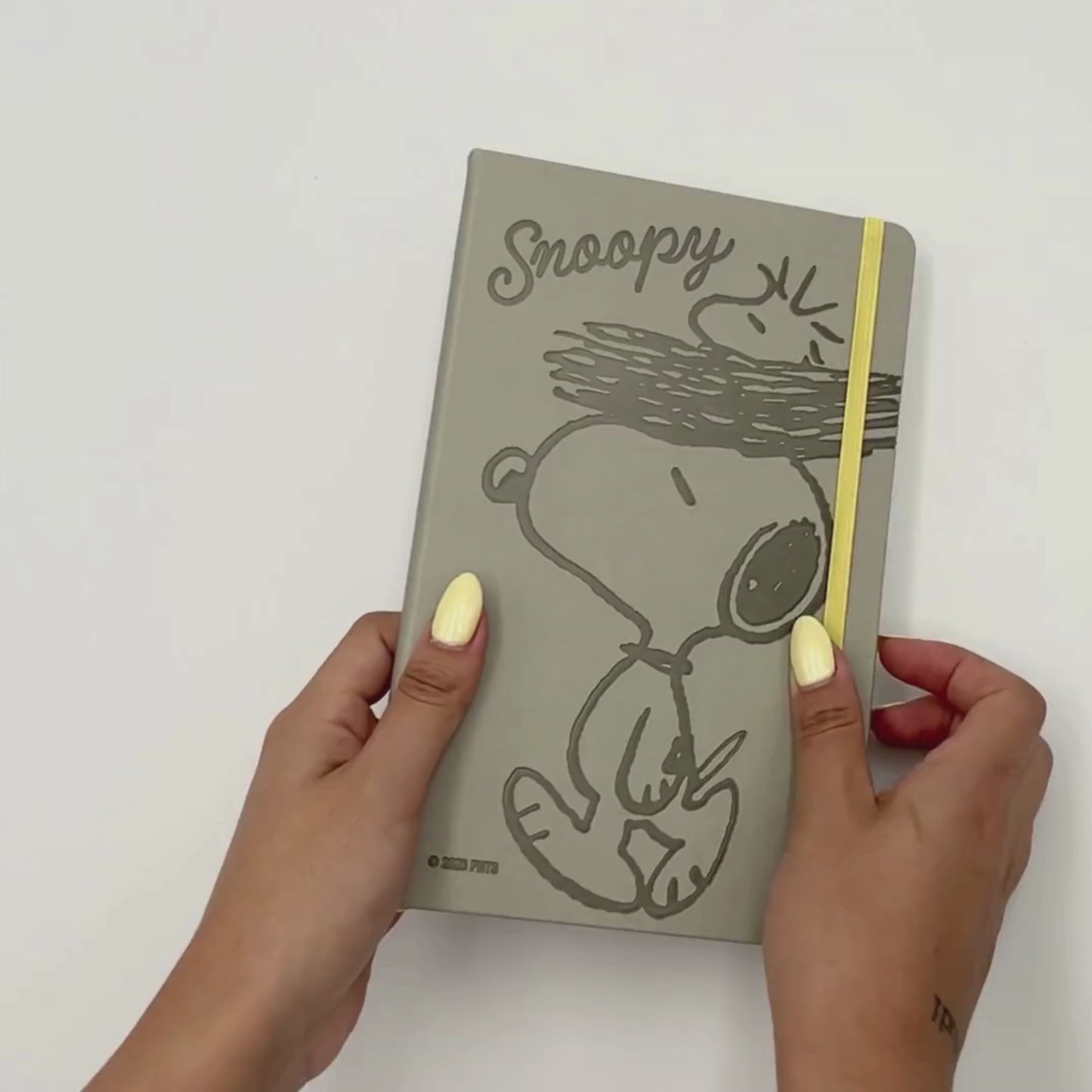 Cargar y reproducir el video en el visor de la galería, Libreta Snoopy
