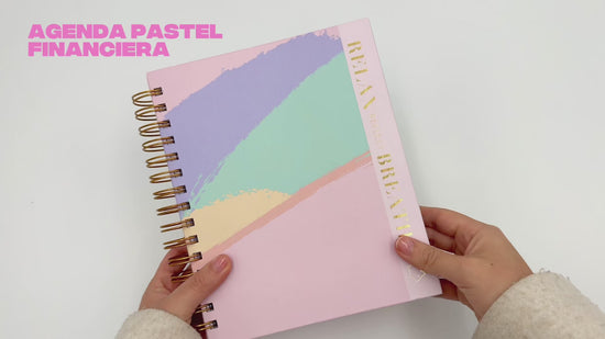Cargar y reproducir el video en el visor de la galería, Agenda 2026 Pastel Financiera diaria
