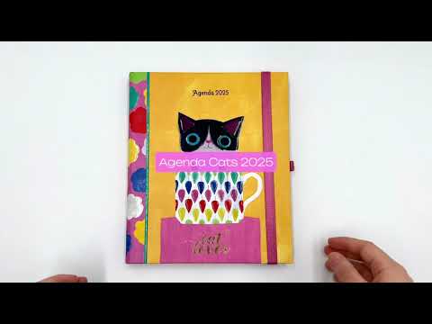 Cargar y reproducir el video en el visor de la galería, Agenda PP 2025 Cats Semanal
